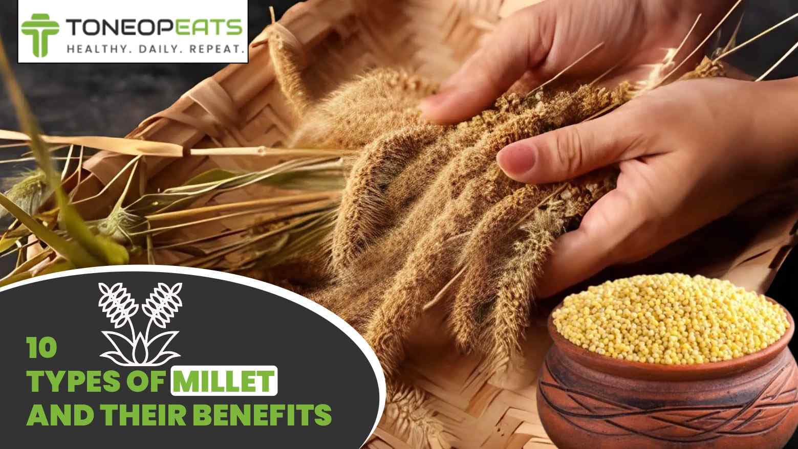 10 Types of Millet and Their Benefits — Following Healthy Traditions