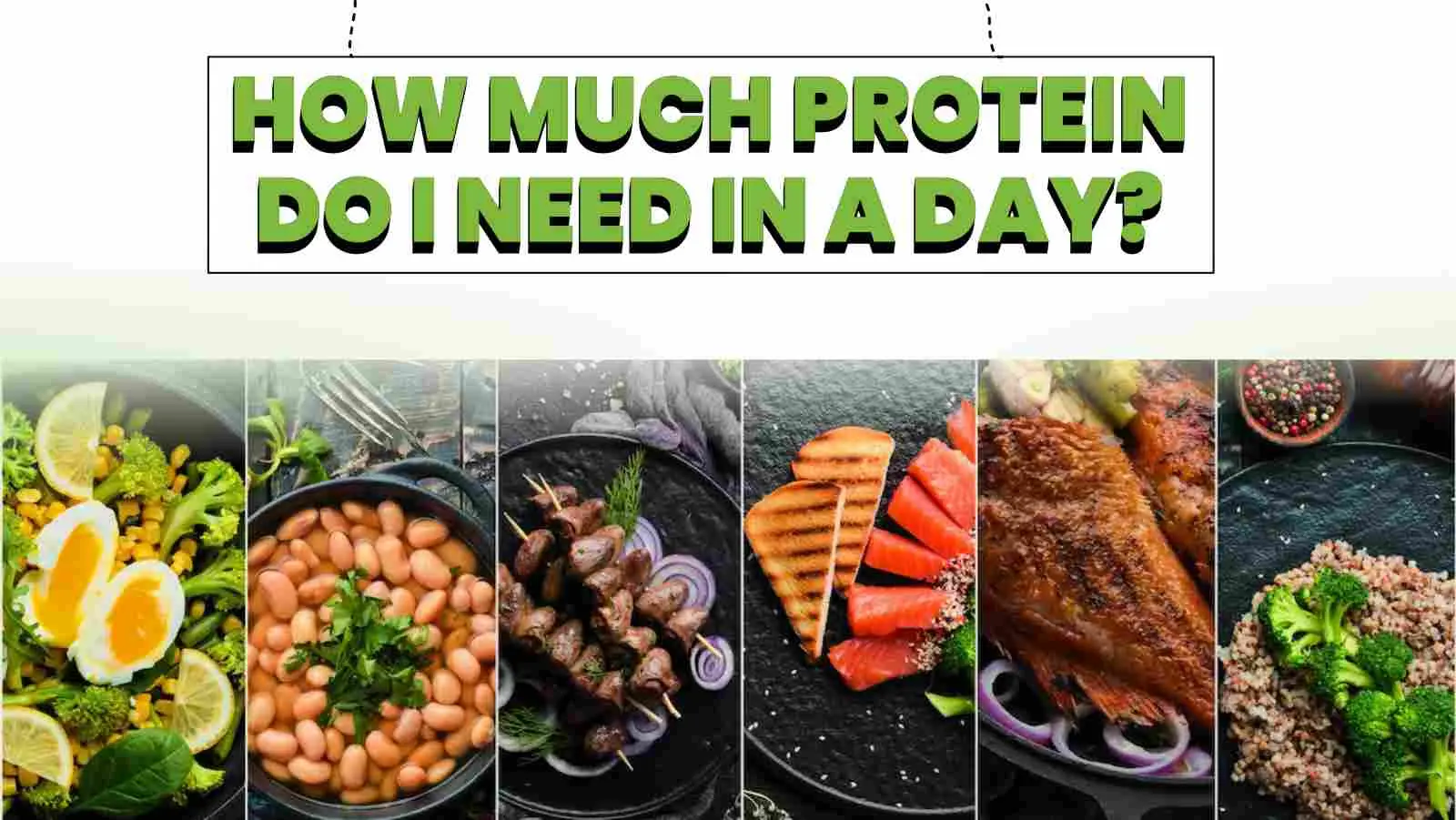How Much Protein Do I Need In A Day? Try These 6 Easy High-Protein Recipes!