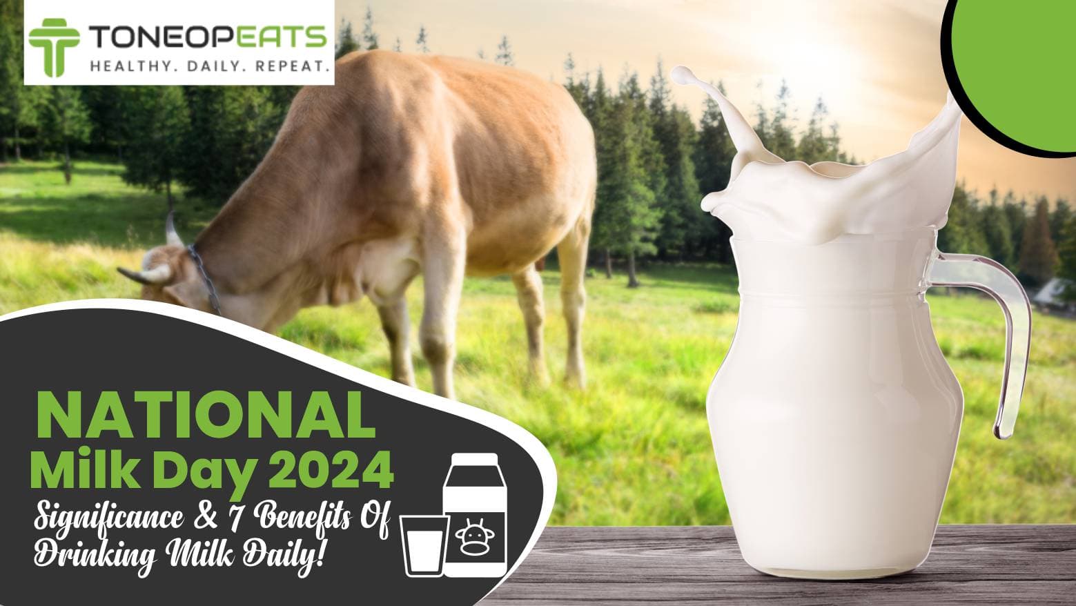 National Milk Day 2024: Significance And 7 Benefits Of Drinking Milk Daily!