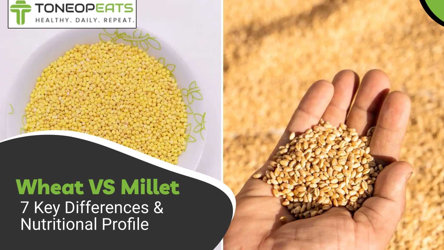 Wheat VS Millet 7 Key Differences & Nutritional Profile
