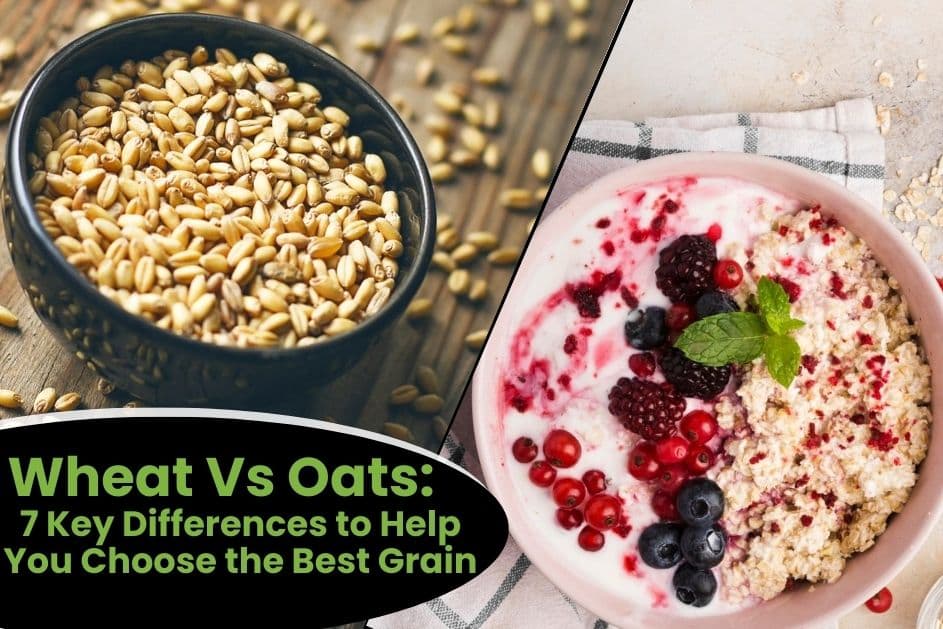 Wheat Vs Oats 7 Key Differences to Help You Choose the Best Grain